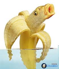 BANANA FISH!