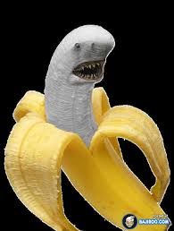 Beware the banana's