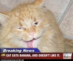 BANANA