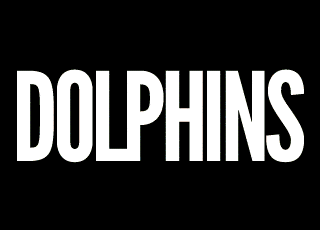 there are no brakes on the dolphin train