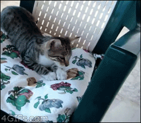 When I Try To Collapse Onto My Bed