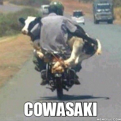 Cowasaki