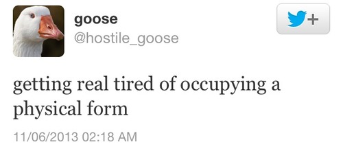 Goose Goes Deep