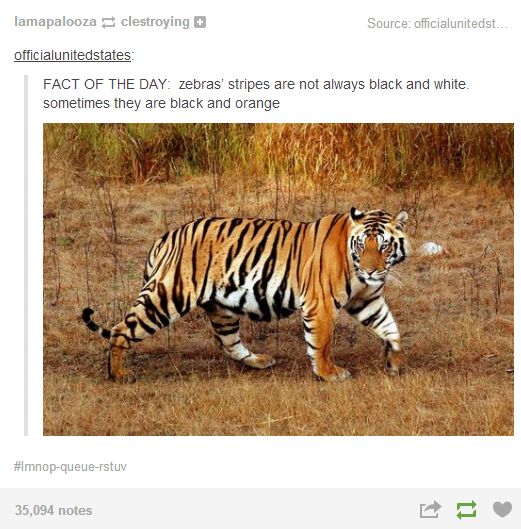 the more you know...