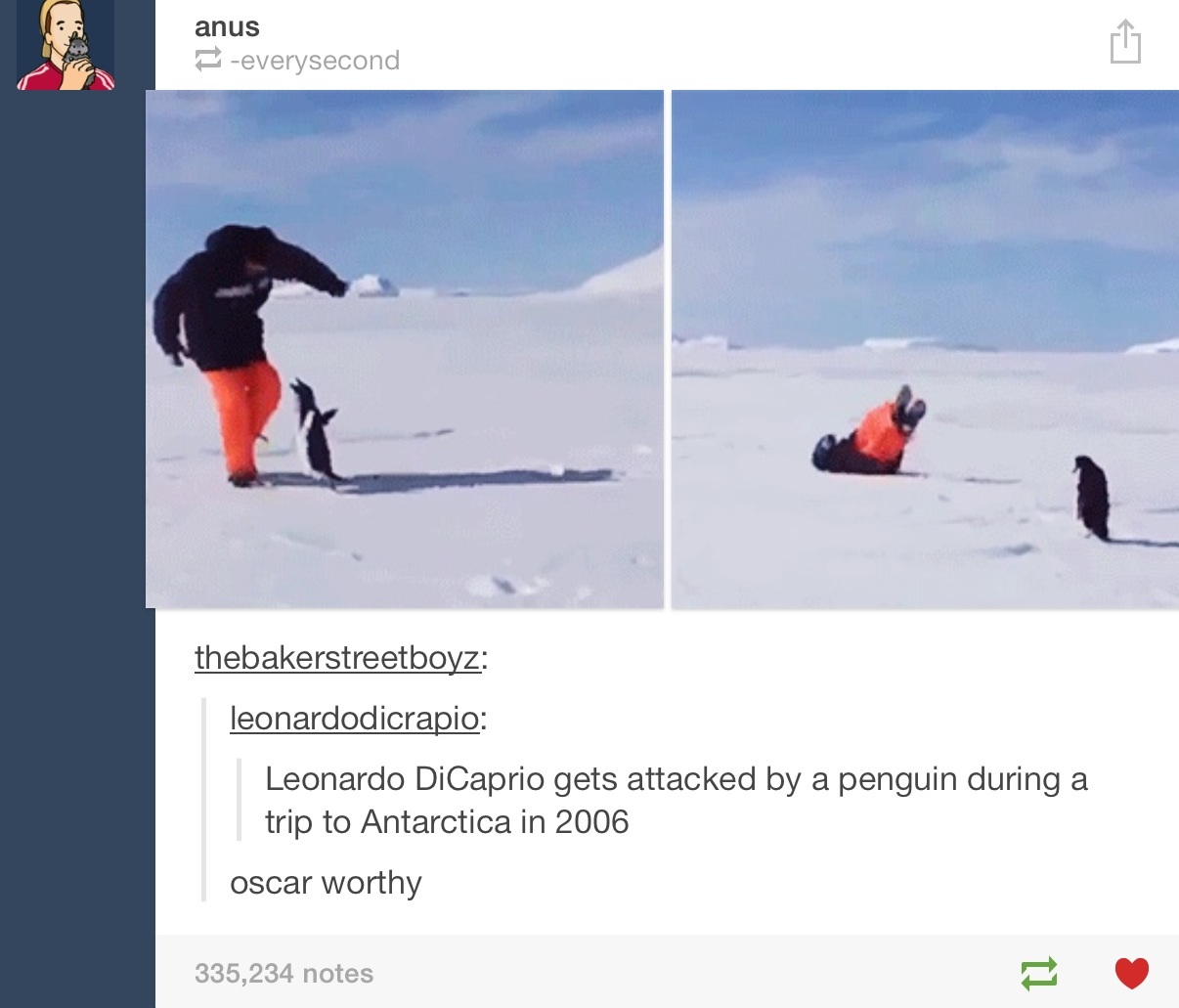 The penguin really deserves it