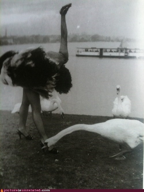 Day 6, they still think i'm an ostrich!