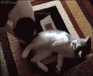 Lick my butt!