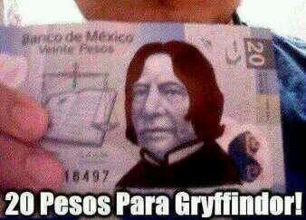 20 pesos for gryffindor