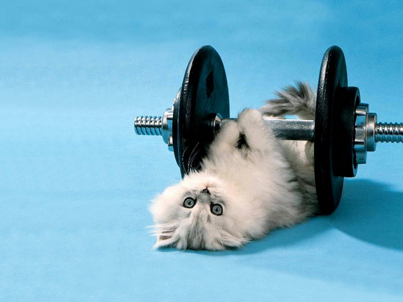 Training to become a leader of the worlds