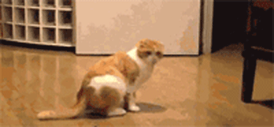 Me when my GF wants to be on top