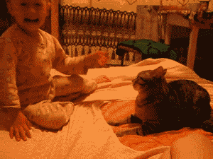 Baby meets Pussy!