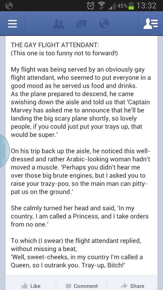 Gay Flight Attendants are the best.