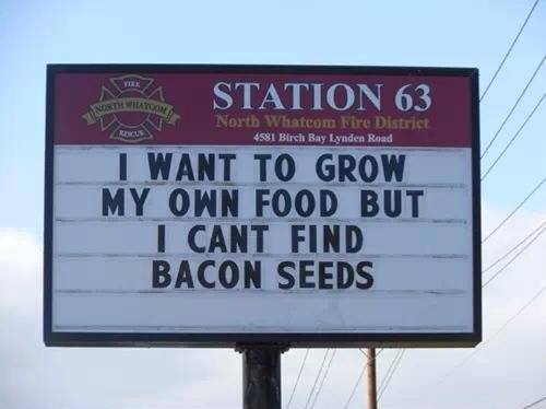 maybe if i plant tofu bacon...