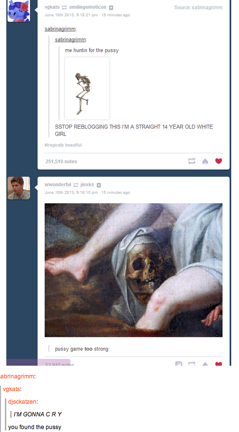 SabrinaGrimm's final reply deleted. Interactive Tumblr game: guess what it was in the comments.