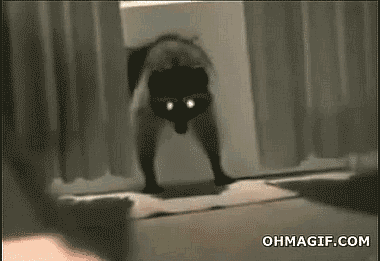 A portal to hell
