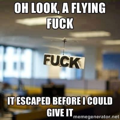 Is it a bird? Is it a plane? No it's the *** i failed to give.