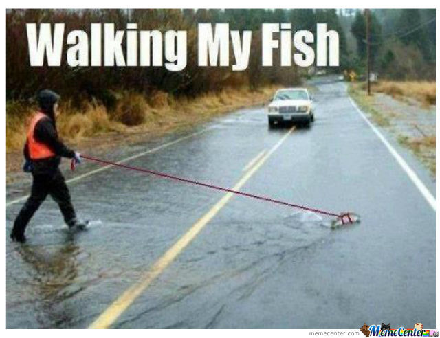 Just Walking My Fish ...