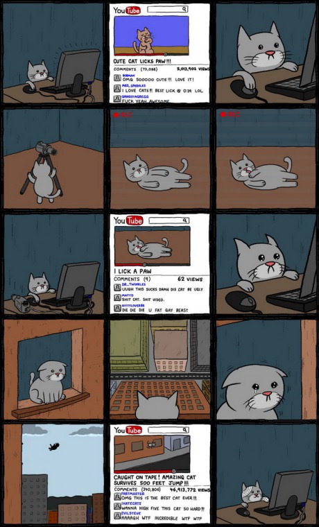 Tough life for cat