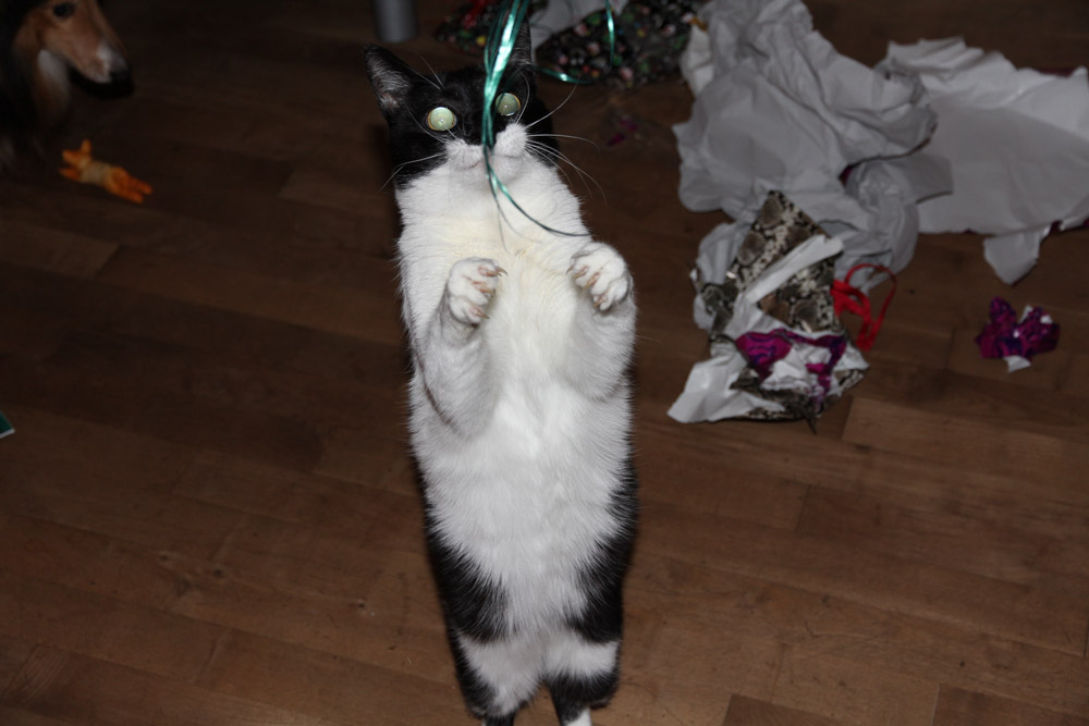 Fröhliche Weihnachten