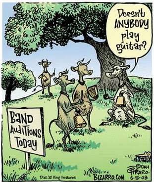 I gotta have more cowbell!!