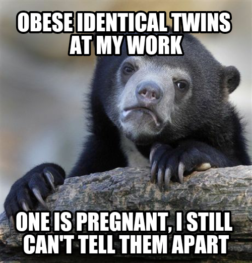 She's pregnant with twins too