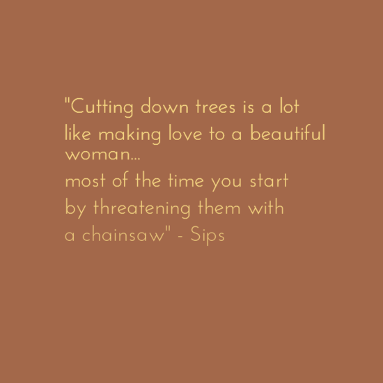 True words by Sips.
