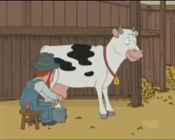 When people make funny comments in your post