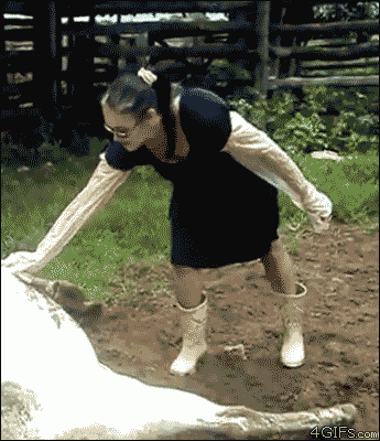 Never rub a horse's belly
