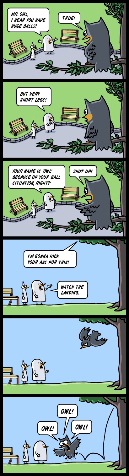 Owl!