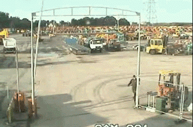 should have looked both ways