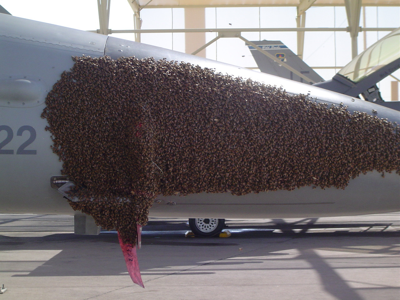 speaking of aircraft, here's one straight from Nopeland