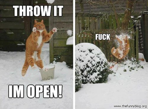 Dammit, wait throw it again!