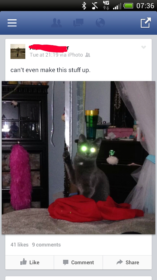 My cousins demon kitten hails hitler often