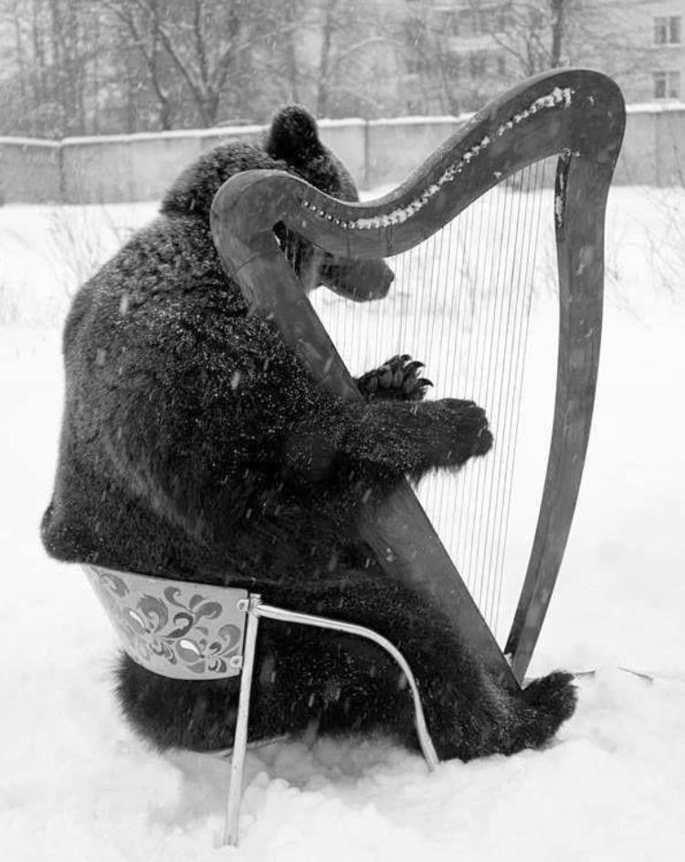 Remember the bear trying to amuse Putin? well he didn't amuse him, now he's sad