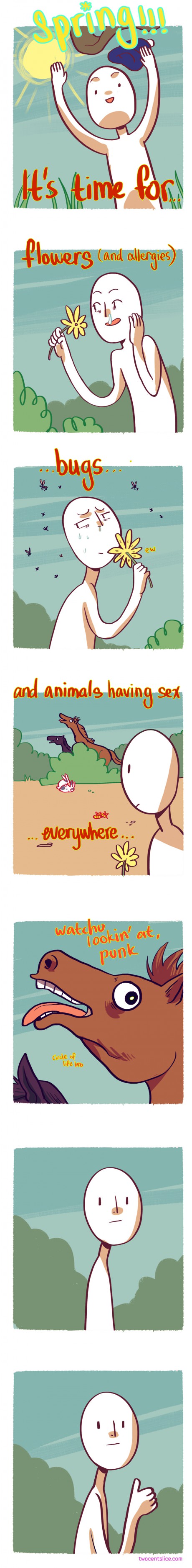 Spring in a nutshell