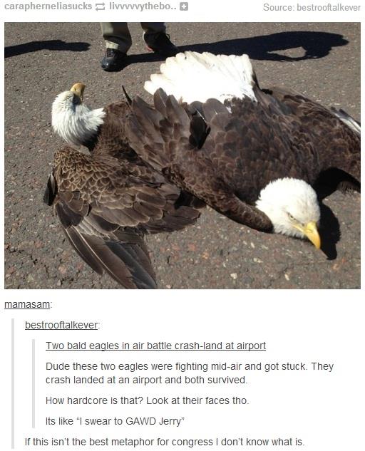 they were fighting for their freedoms