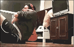 Where did that mouse go?