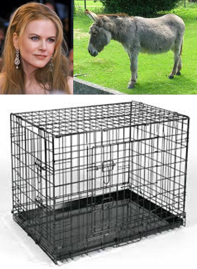 nicole-ass cage