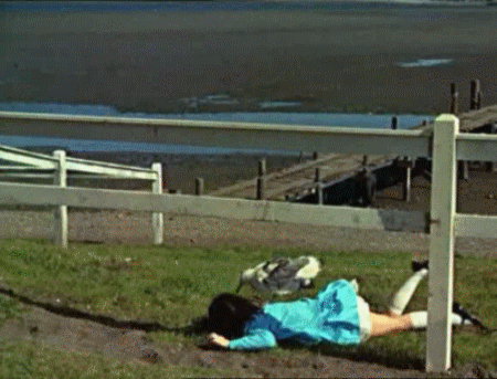 This is why you don't feed the seagulls