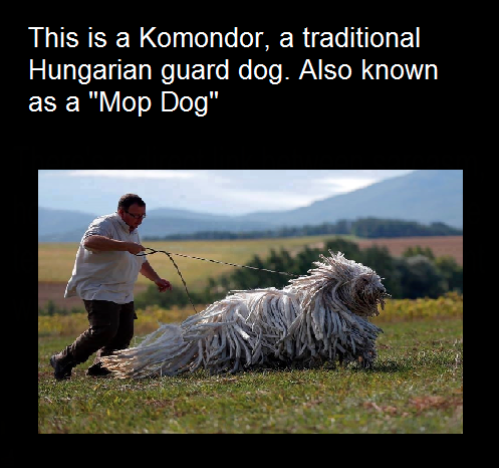 Even better than the new Swiffer!