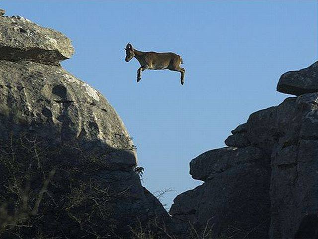 "whatever floats your goat"