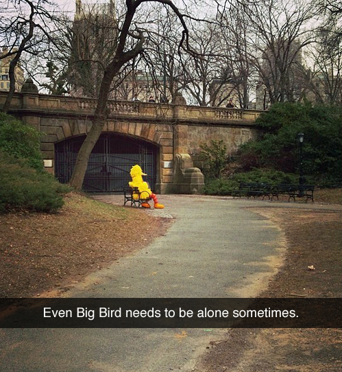 Big bird got tired or your shit