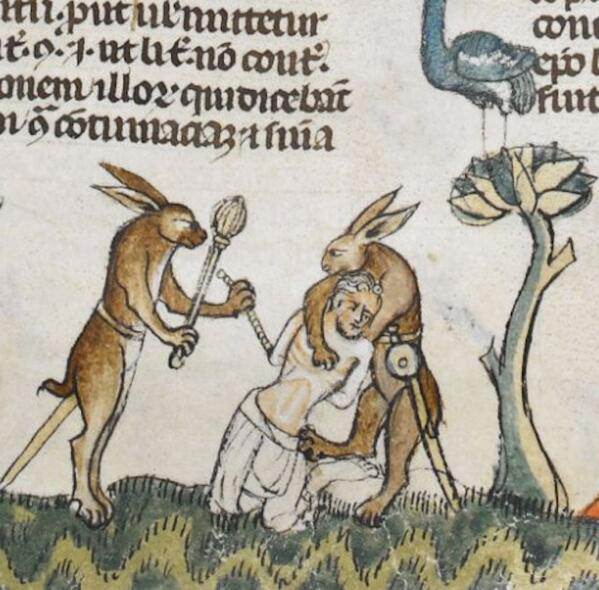 You came to the wrong neighbourhood, human