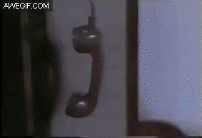 HELLO? YES THIS IS DINOSAUR!