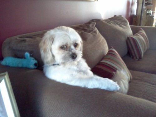 We need to talk. Now.