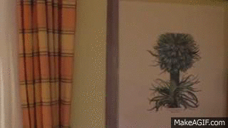 When your parents lock you out of the house by accident