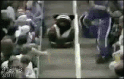 Don't know how that could go wrong