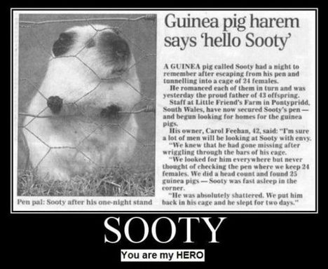 Sooty, never forget
