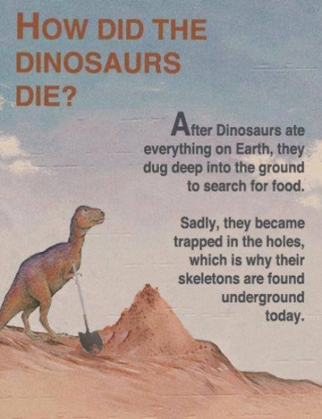 I always thought it was because they were all infected with the gay virus.
