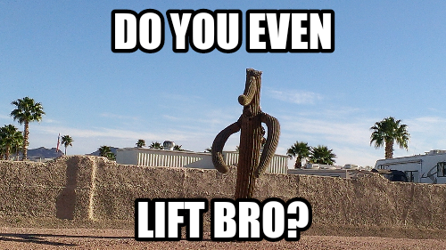 Macho Cactus.